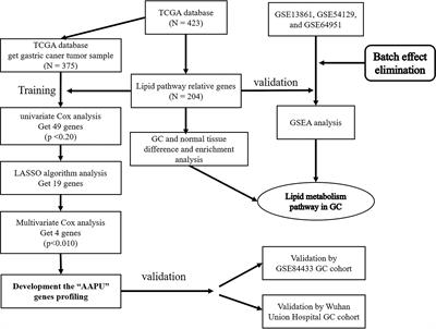 Exploration of Lipid Metabolism in Gastric Cancer: A Novel Prognostic Genes Expression Profile